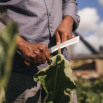 Nůž pro sklizeň Fiskars  X-series™