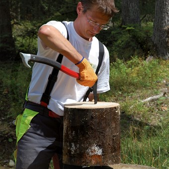 Sapina dřevorubecká 50cm STUBAI